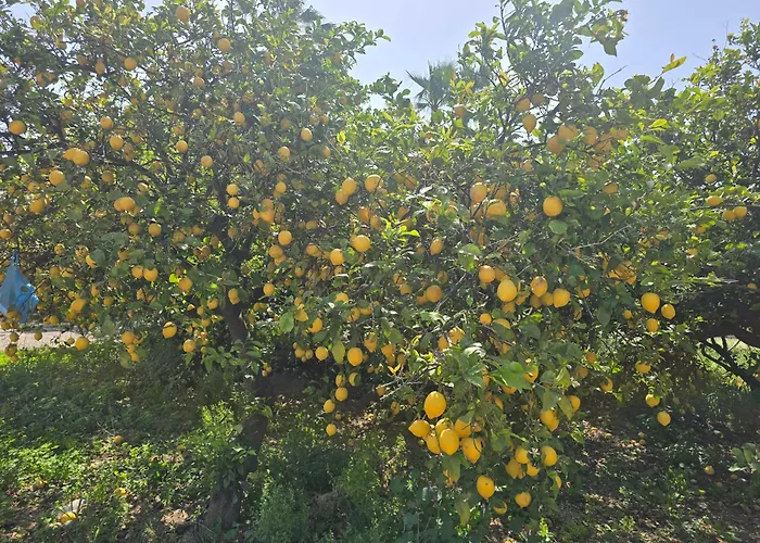 K Ilios Resort&Farming